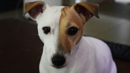 stephan-faessler-M8ddmW1n5R8-unsplash stephan-faessler-M8ddmW1n5R8-unsplash